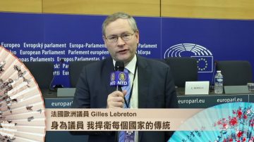 法國歐洲議員 Gilles Lebreton 捍衛傳統 祝2018新年快樂