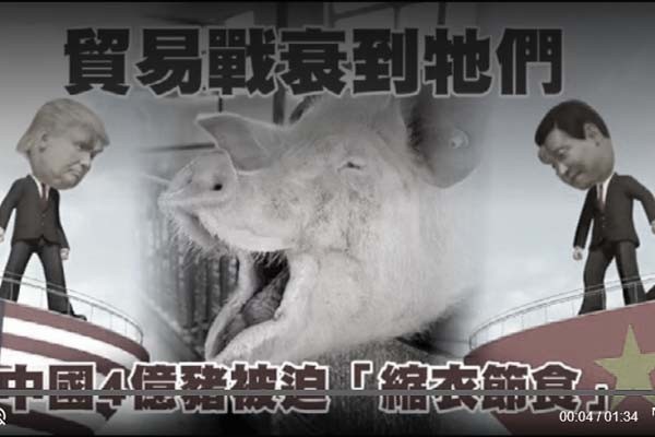 北京號召「共克時艱」 4億頭豬率先「節衣縮食」
