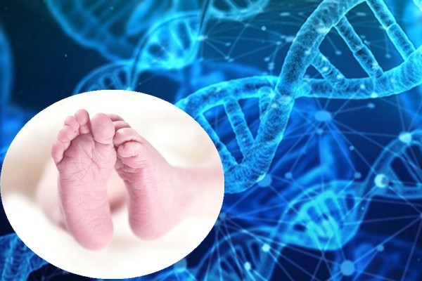 基因編輯嬰兒震驚全球 學者：官方密令進行