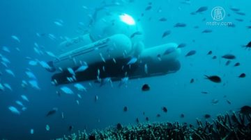 Uber新花样 坐潜水艇欣赏海底世界