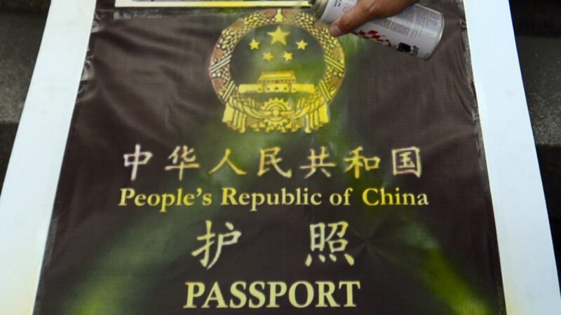 德媒揭中國簽證申請表格藏黑幕