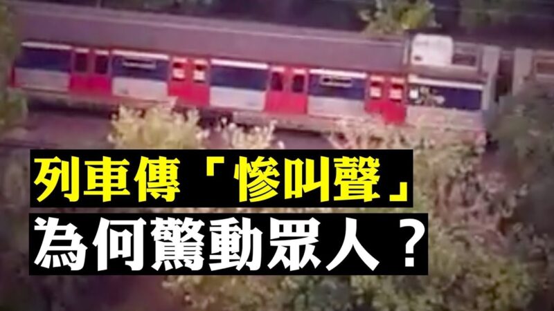 香港粉岭列车经过，“一声惨叫”为何惊动众网友？