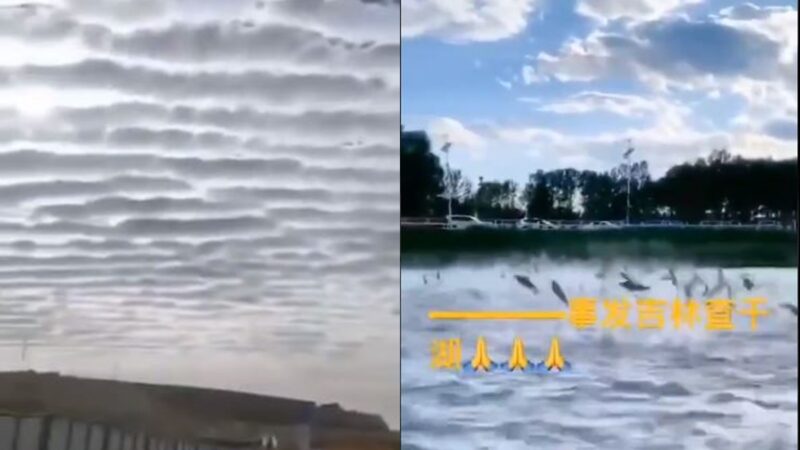 大地震前兆？中國各地魚群飛躍、雲層詭異(視頻)