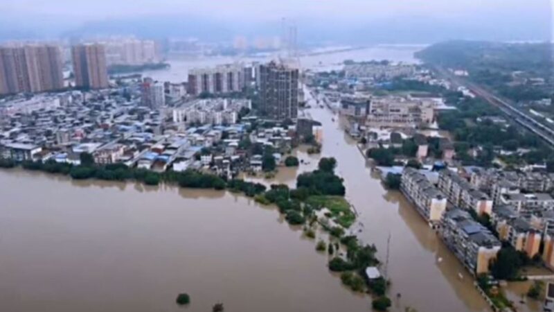 四川洪災泛濫 長江5號洪水流量將創紀錄（視頻）