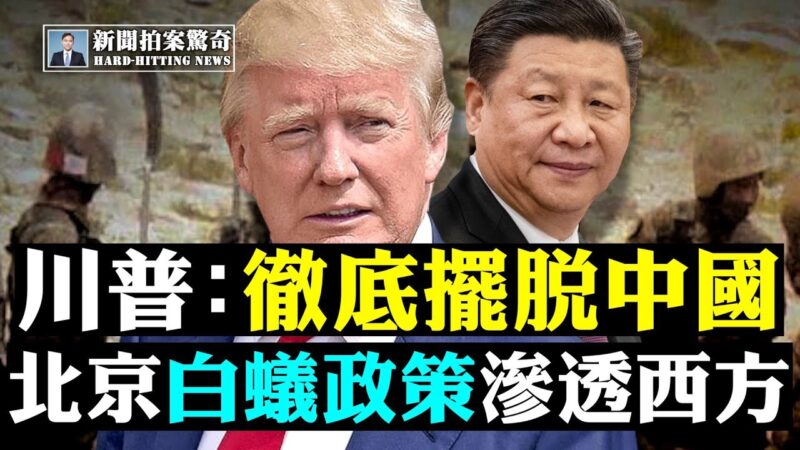【拍案惊奇】揭中共“白蚁政策” 入秋冬再谈疫情