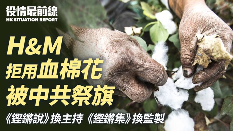 【役情最前线】H&M拒新疆棉花 遭中共祭旗
