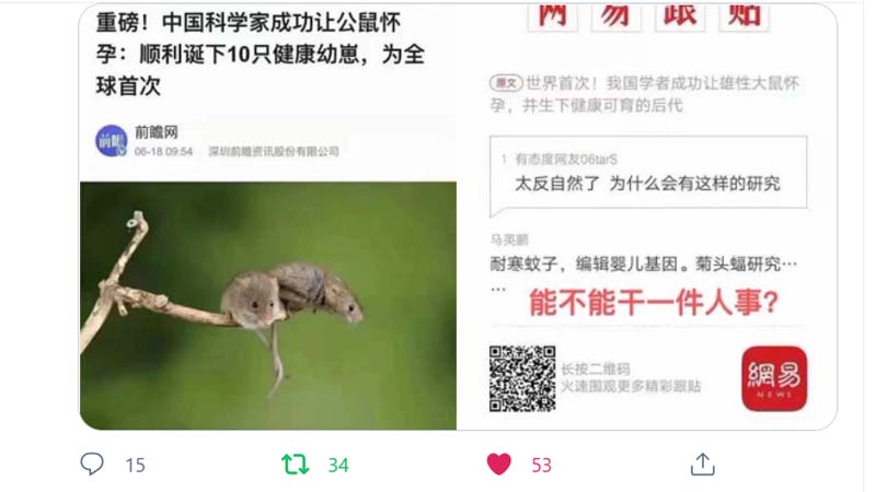 中共科學家讓公鼠懷孕產子 網批「不幹人事」