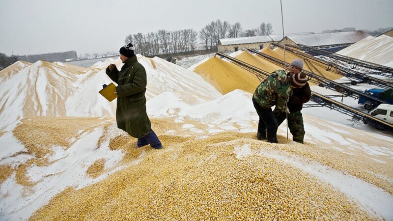 中国粮食进口大增23% 学者：粮食缺口不断扩大