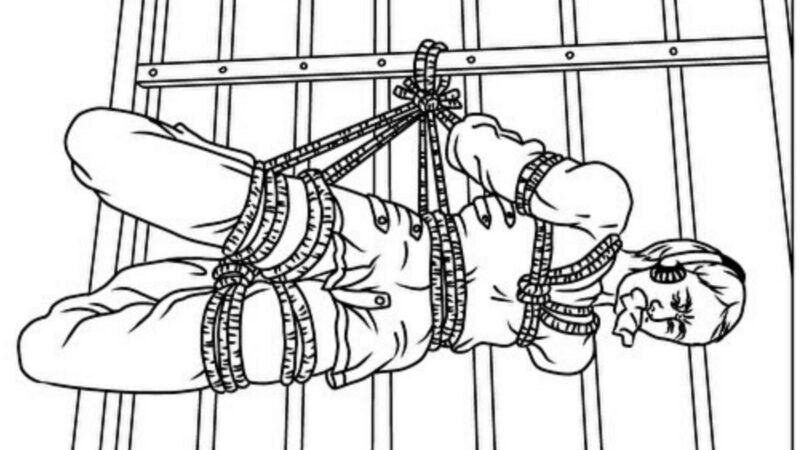 雲南法輪功學員遭受「約束衣」酷刑1年多