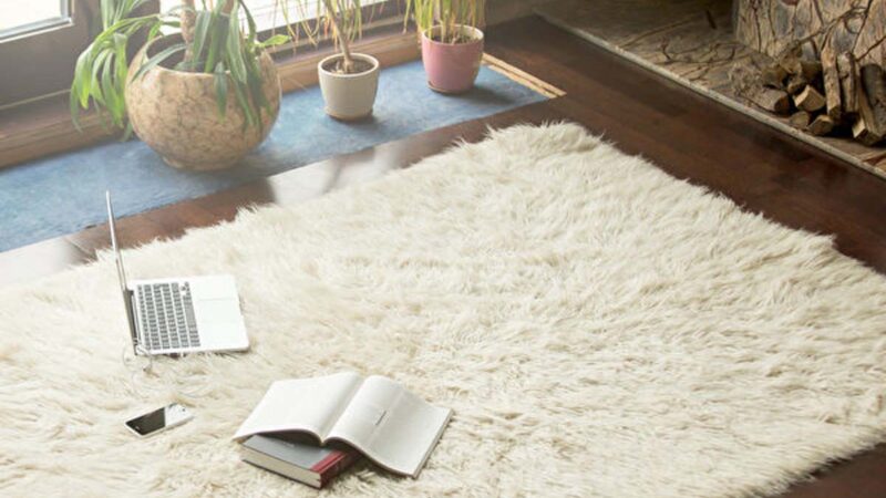 让地毯恢复蓬松干净的简单方法