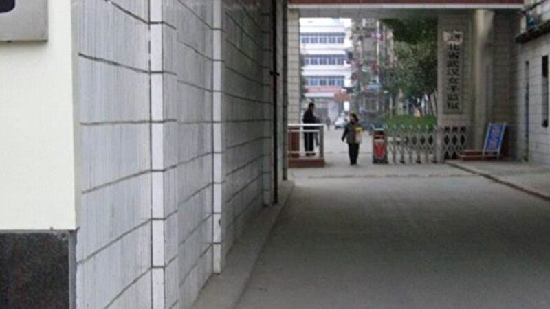 胡汉姣入狱13天死亡 政法委介入 专家析因