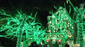 纽约戴克高地圣诞灯饰登场 民众欣喜