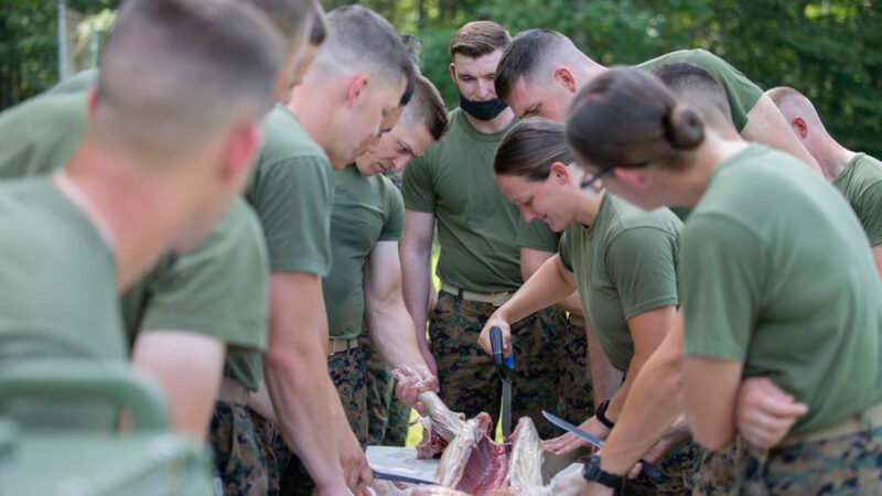 备战南太平洋 美海军陆战队学校增寻找食物课