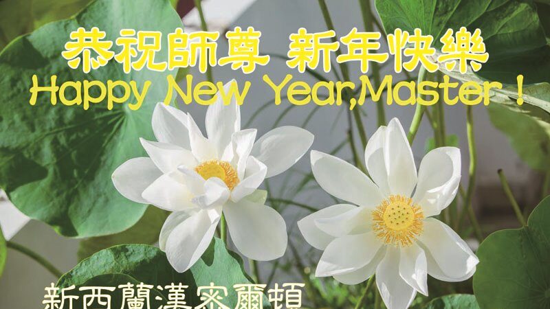 澳大利亚、新西兰法轮功学员恭祝李洪志师尊新年好(32条)