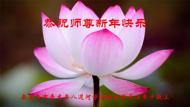 天津、上海、河北法輪功學員恭祝李洪志大師新年好(37條)