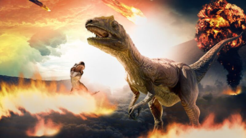 科学家称找到灭绝恐龙的陨石残留物
