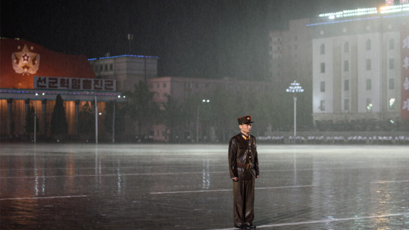 反美集会刚收场 朝鲜遇暴雨袭击 树被连根拔起
