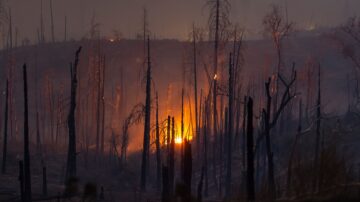 加州優勝美地附近野火失控 六千居民撤離