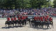 加拿大王家騎警音樂馬術義演 國慶日展英姿
