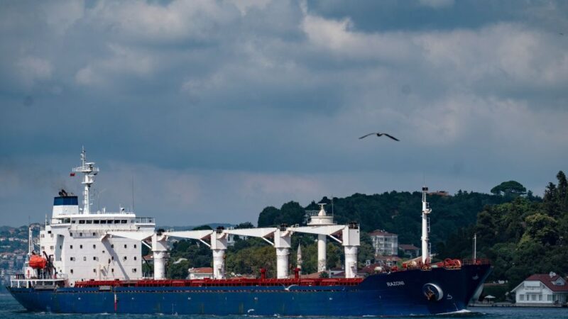 延誤逾5個月 烏克蘭首艘運穀船貨物遭買主拒收