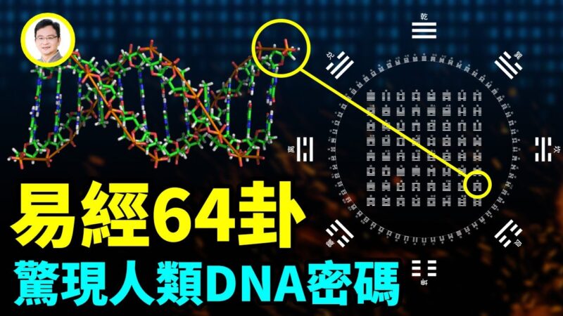 【文昭思緒飛揚】易經64卦 驚現人類DNA密碼？