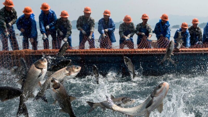中国非法捕鱼涉侵犯人权 被美国制裁