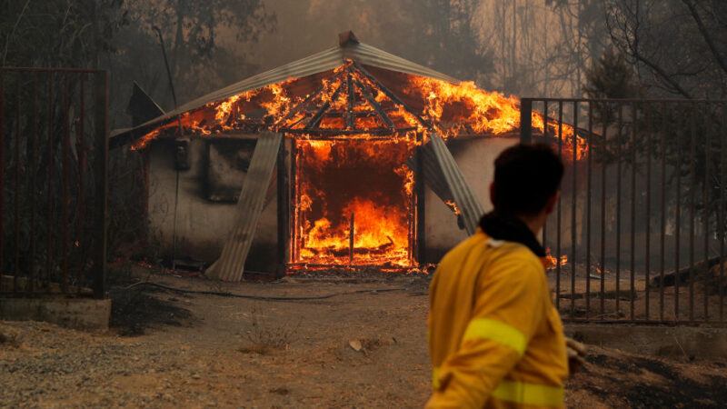 智利热浪下数十起野火肆虐 至少13人丧命