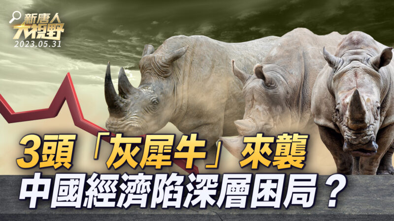 【新唐人大視野】3頭「灰犀牛」來襲 中國經濟陷深層困局？