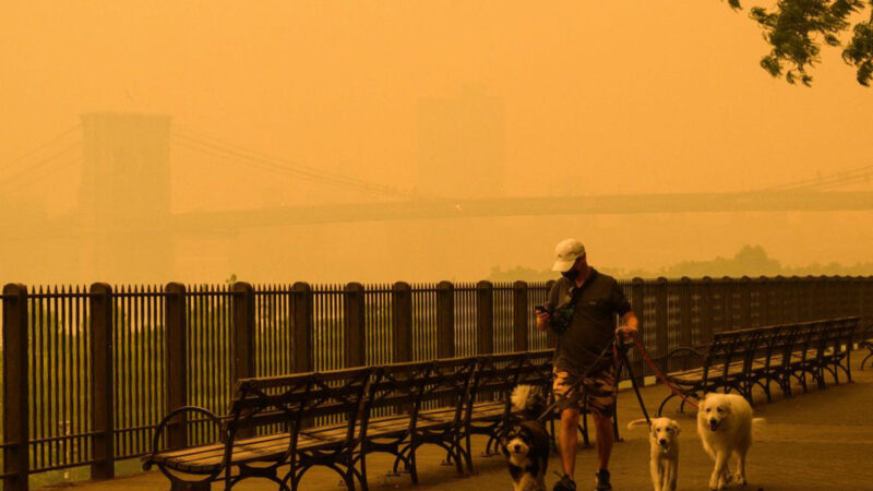 加国野火导致纽约空气质量差 健康专家有建议