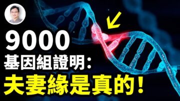 【文昭思绪飞扬】9000基因组证明：夫妻缘是真的
