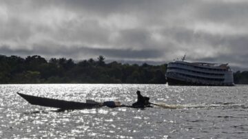 巴西亚马逊湖水温度创新高 逾百淡水豚集体死亡