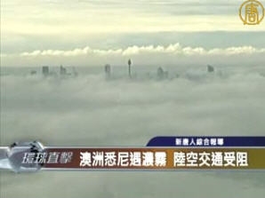 澳洲悉尼遭遇濃霧 陸空交通受阻