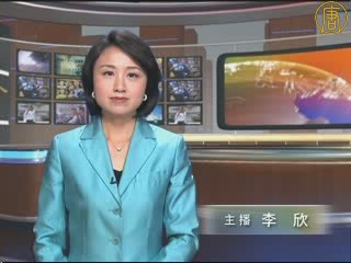 波黑塞族前總統卡拉季奇被捕