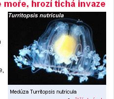 科学家发现地球上唯一“不死生物”