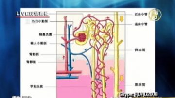 【熱點互動熱線直播】救救被毒害的腎