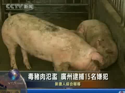 毒豬肉氾濫 廣州逮捕15名嫌犯