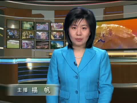 澳義工晝夜搶救擱淺偽虎鯨