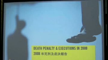 国际大赦指08年处死人数中国占七成