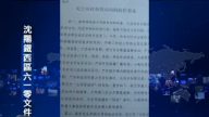 中共秘件曝光610組織非法性
