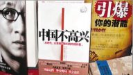 【熱點互動】評新書《中國不高興》