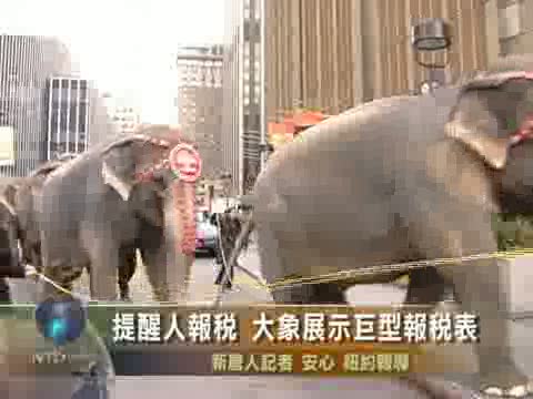 提醒人報稅 大象展示巨型報稅表