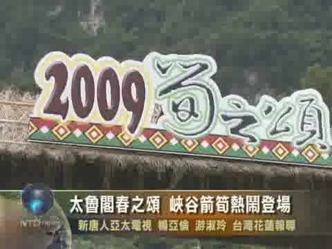 太魯閣春之頌  峽谷箭筍熱鬧登場