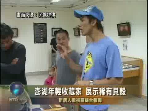 澎湖年輕收藏家 展示稀有貝殼