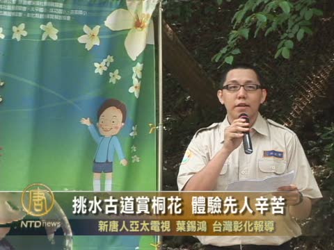 挑水古道賞桐花 體驗先人辛苦