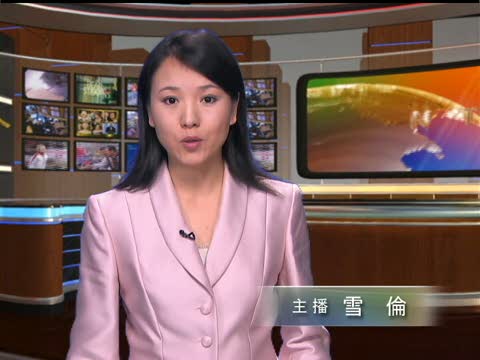 德日呼籲安理會進行改革