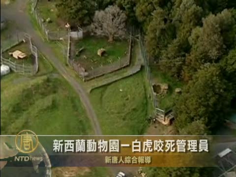 新西蘭動物園一白虎咬死管理員