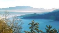 阿里山退黨中心大陸客日退300保平安