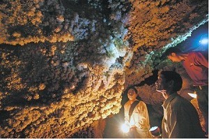 青川亿年溶洞群 暗藏万年石花世界罕见