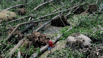 风雹灾害再肆虐安徽 15人死百万受灾