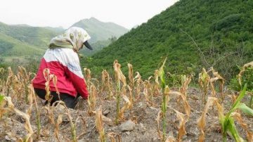 政府超级腐败 治荒农民遭遇悲惨